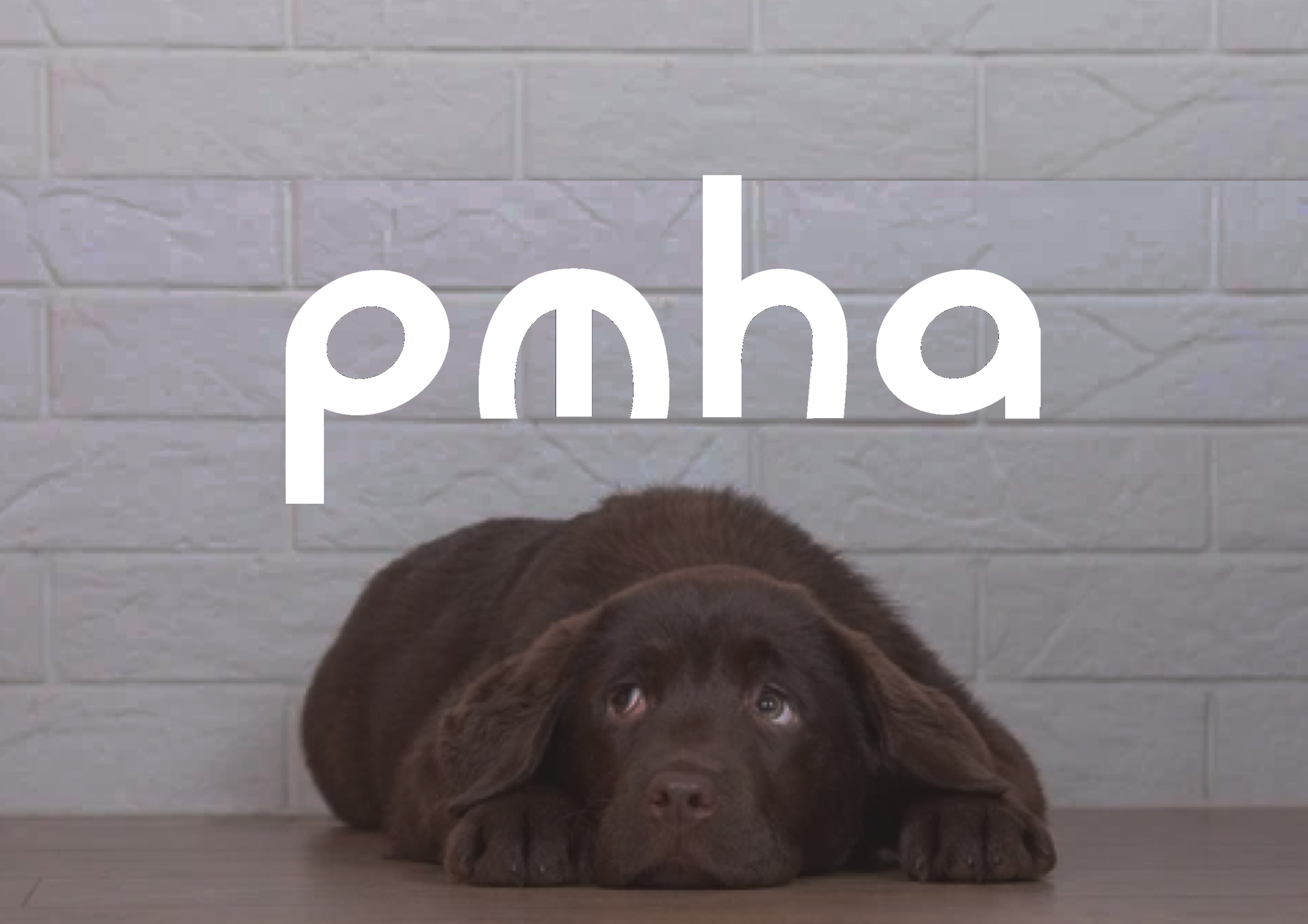 pmha